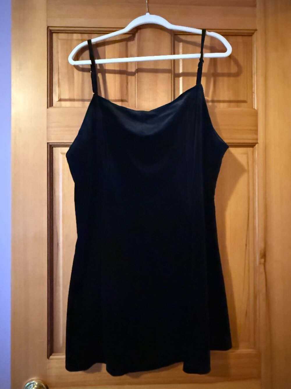 PLUS-size Velvet Dress (Shiny by Nature)